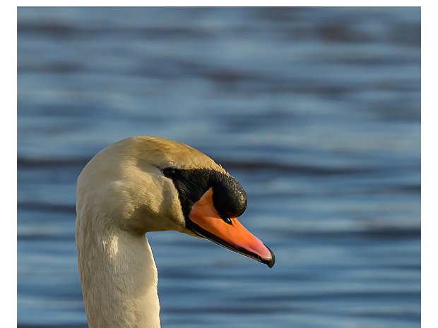 Upton Warren